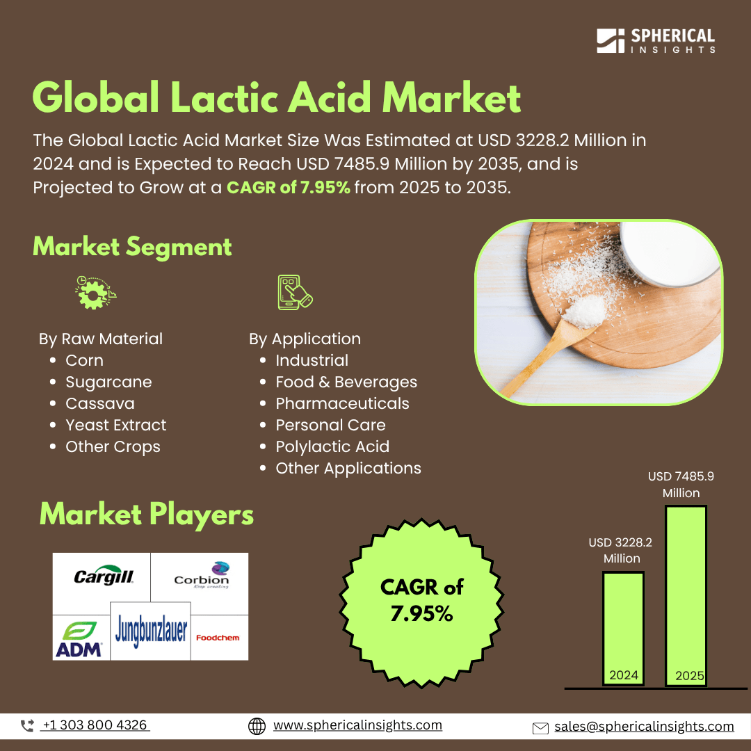 Global Lactic Acid Market Size To Exceed USD 7485.9 Million by 2035 | CAGR of 7.95%: Market Study Report