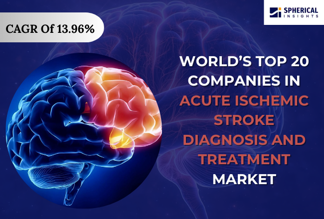  Acute Ischemic Stroke Diagnosis and Treatment Market
