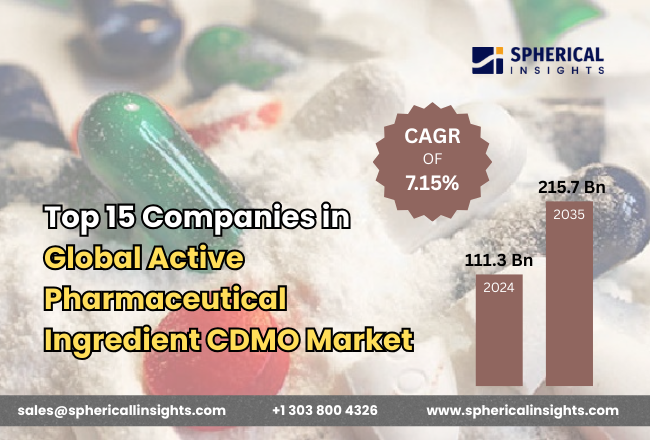 Global Active Pharmaceutical Ingredient CDMO Market