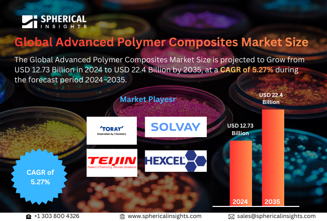 Advanced Polymer Composites Market