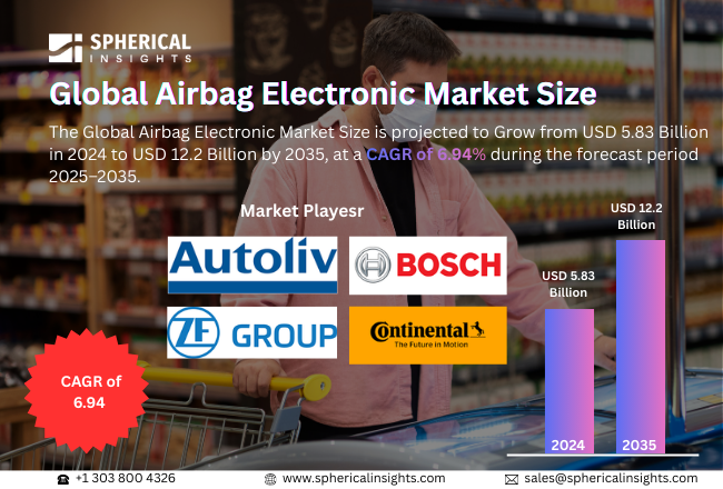 Airbag Electronic Market