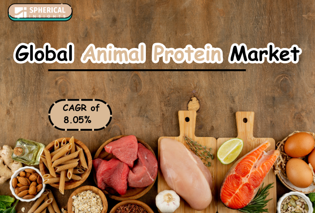 Animal Protein Market