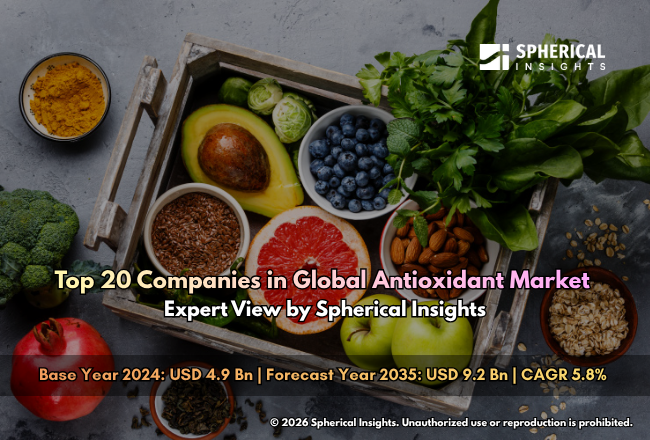 Global Antioxidant Market 