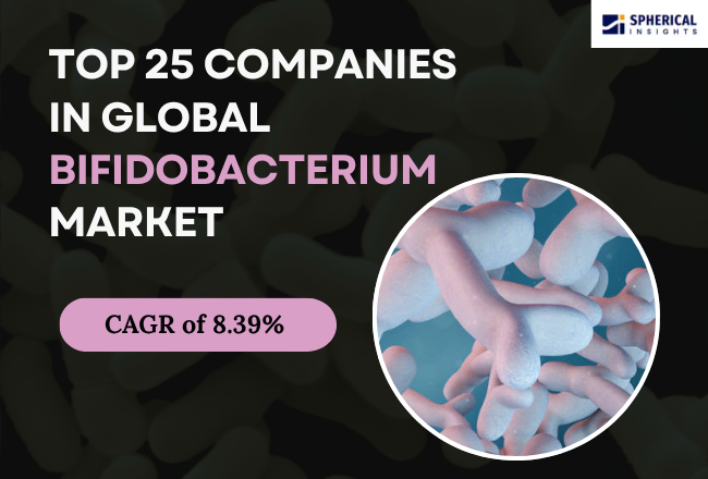 Bifidobacterium Market 