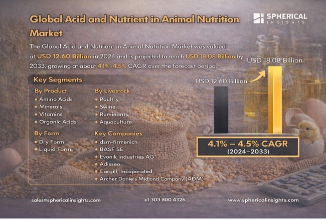 Acid and Nutrient in Animal Nutrition Market