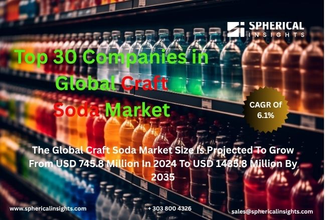 Global Craft Soda Market 
