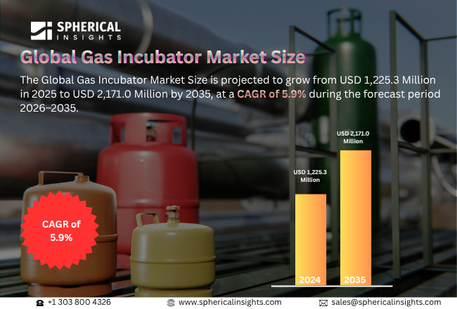 Gas Incubator Market 