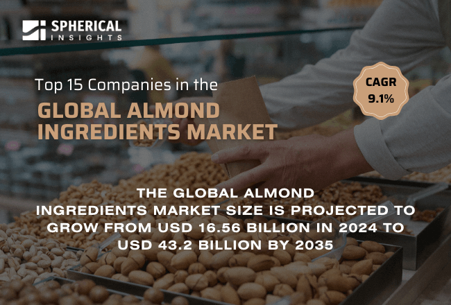 Global Almond Ingredients Market 