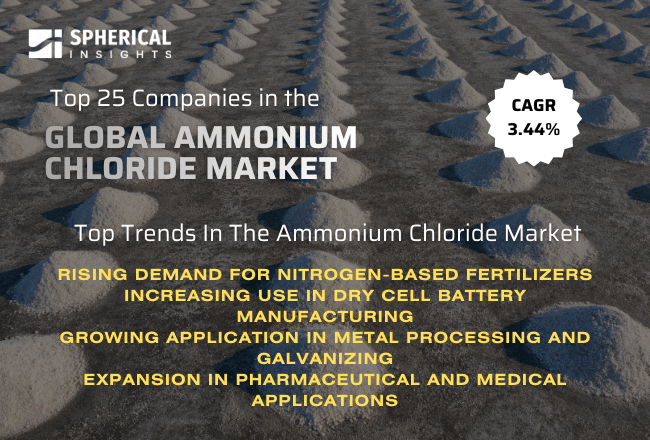 Global Ammonium Chloride Market 
