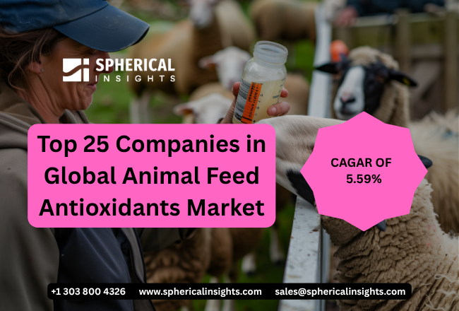 Animal Feed Antioxidants Market