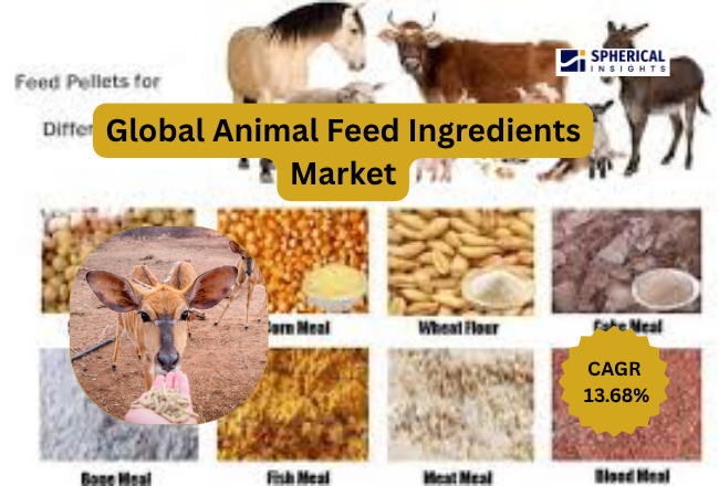 Animal Feed Ingredients Market