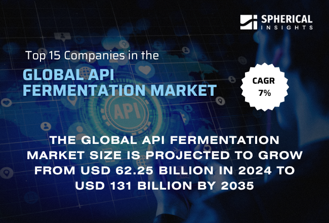 Global API Fermentation Market