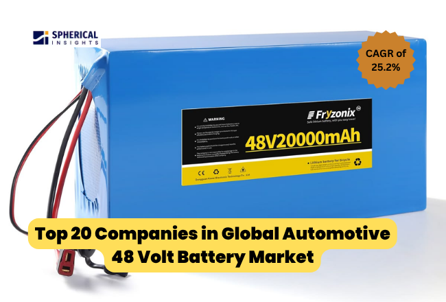Automotive 48 Volt Battery Market