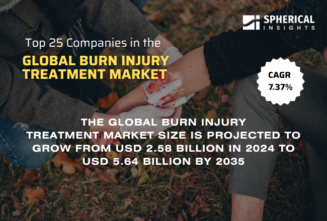 Global Burn Injury Treatment Market 