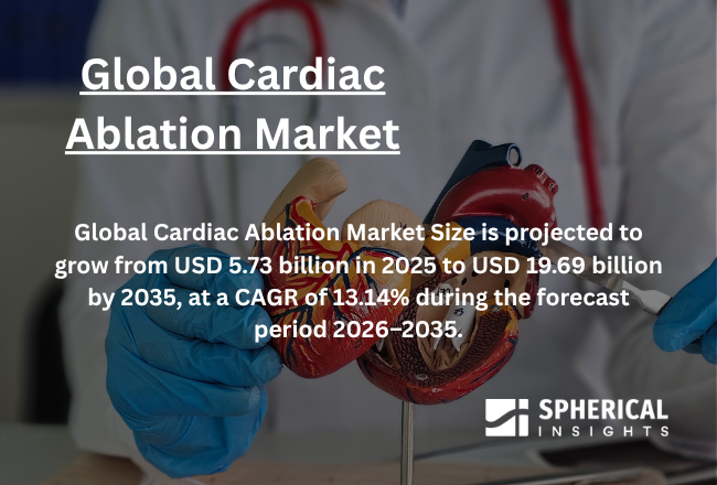  cardiac ablation market 