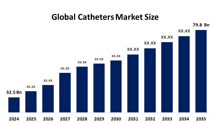 Global Catheters Market