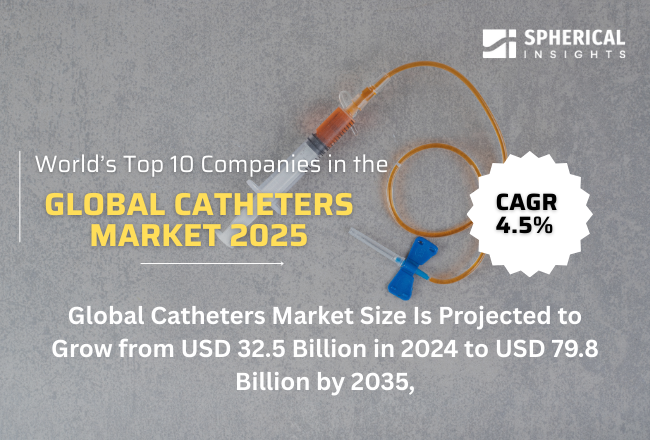 Global Catheters Market