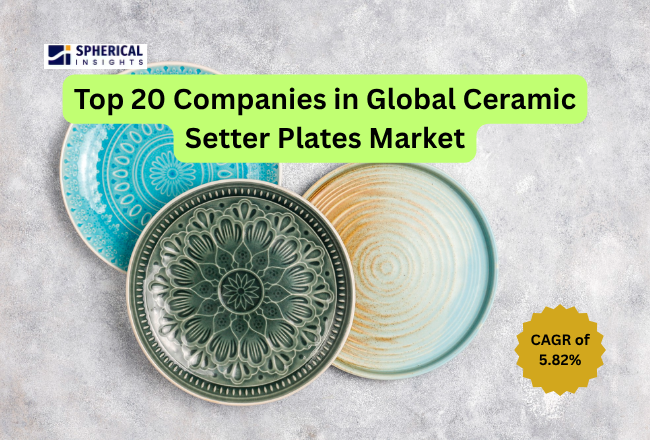 Ceramic Setter Plates Market