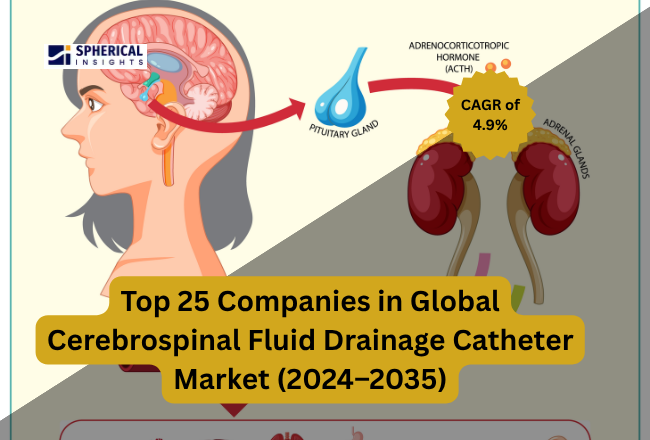 Cerebrospinal Fluid Drainage Catheter Market