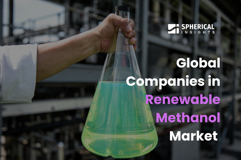 renewable methanol market