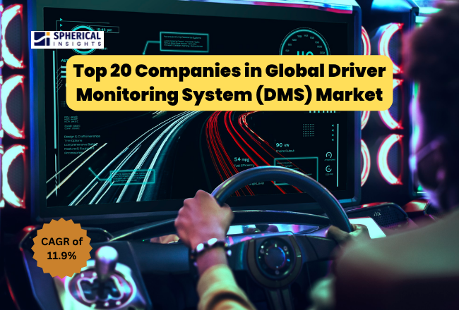 Driver Monitoring System (DMS) Market