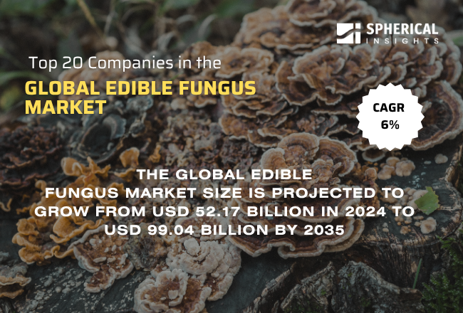 Global Edible Fungus Market 