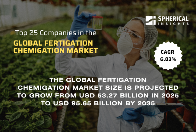 Global Fertigation Chemigation Market