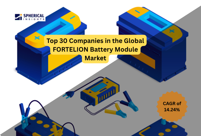 FORTELION Battery Module Market