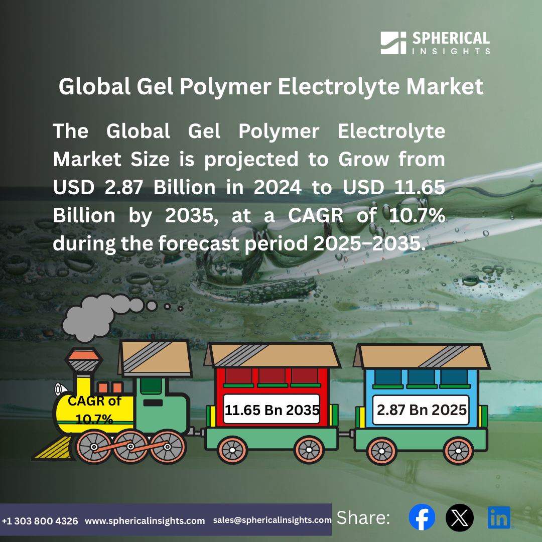 Global Gel Polymer Electrolyte Market