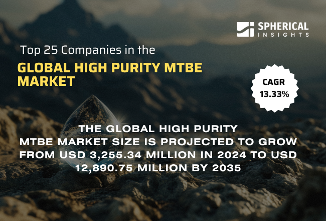 Global High Purity MTBE Market 