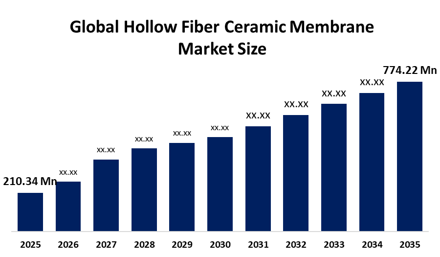  Hollow Fiber Ceramic Membrane Market
