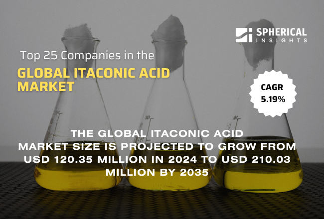 Global Itaconic Acid Market 