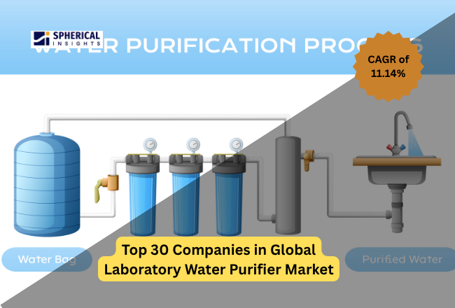 Global Laboratory Water Purifier Market