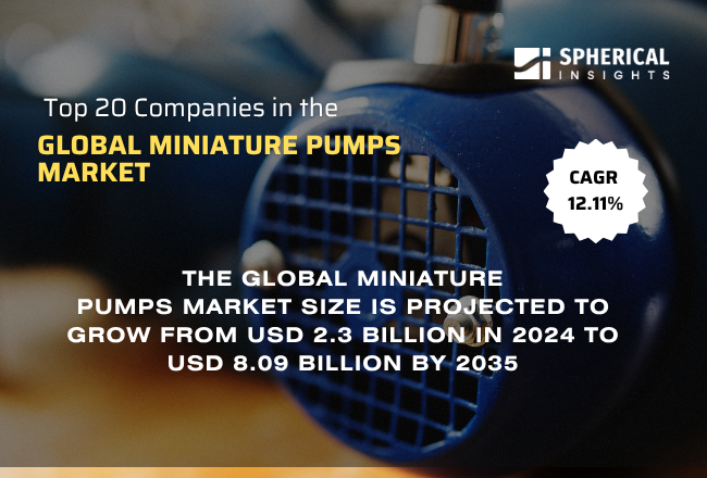 Global Miniature Pumps Market 