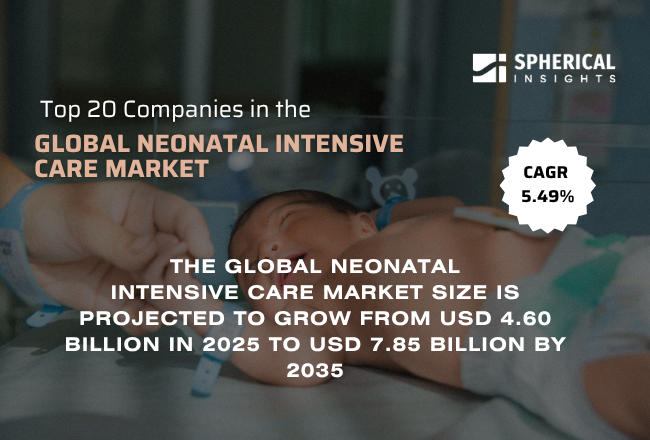 Global Neonatal Intensive Care Market 