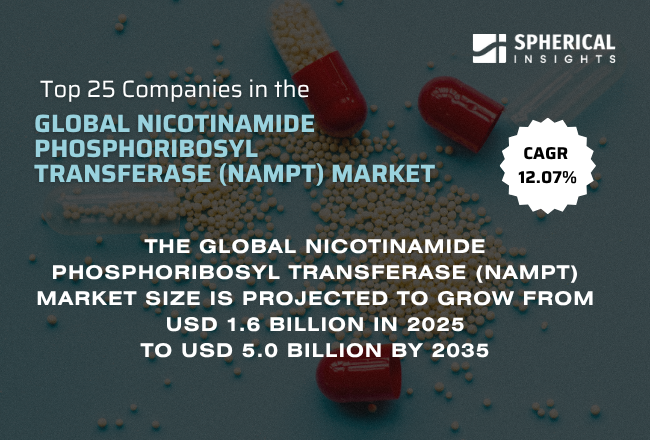 Global Nicotinamide Phosphoribosyl Transferase (NAMPT) Market 