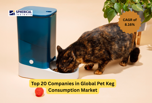 Pet Keg Consumption Market