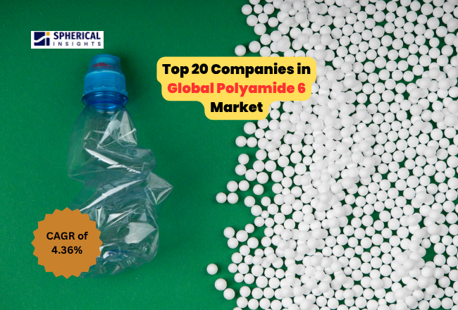Polyamide 6 Market