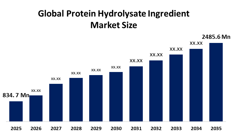 Protein Hydrolysate Ingredient Market
