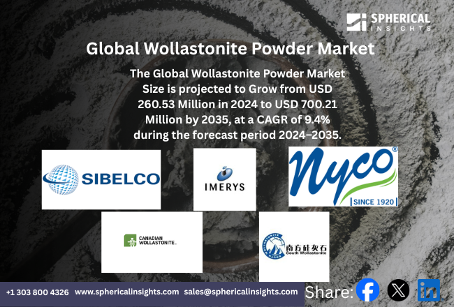 Global Wollastonite Powder Market