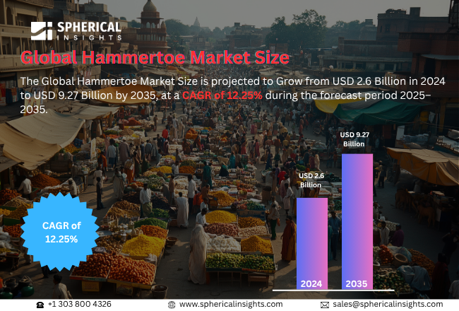 Hammertoe Market