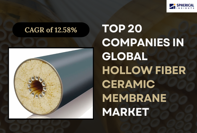 Immune Repertoire Sequencing Market 