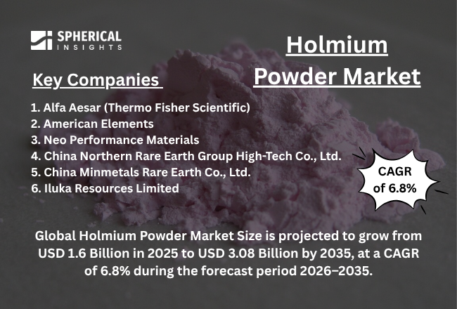 Holmium Powder Market