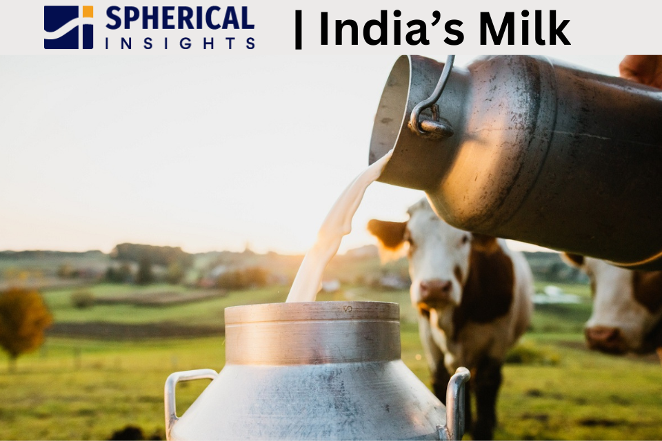 India's Milk Market Forecast
