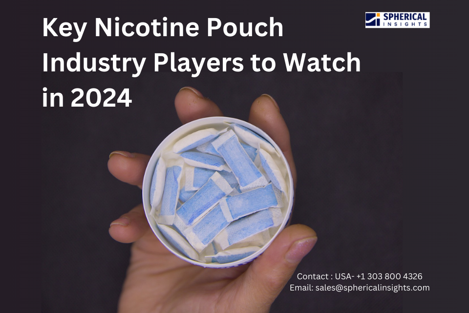 Key Nicotine Pouch Industry Players 