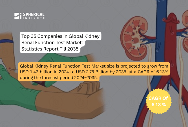 https://www.sphericalinsights.com/images/blog/kidney-renal-function-test.png