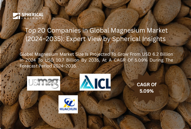 Global Magnesium Market Size 