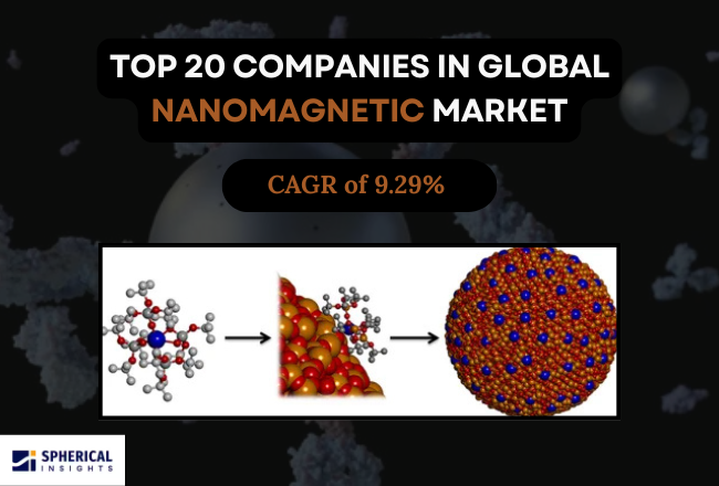 Nanomagnetic Market 