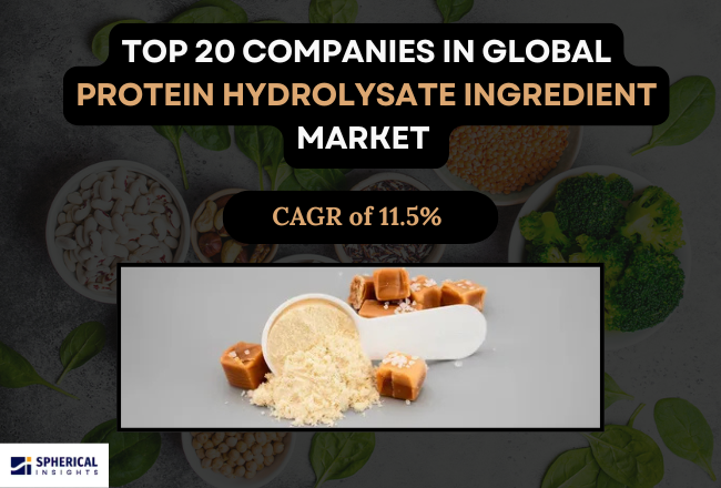 Protein Hydrolysate Ingredient Market
