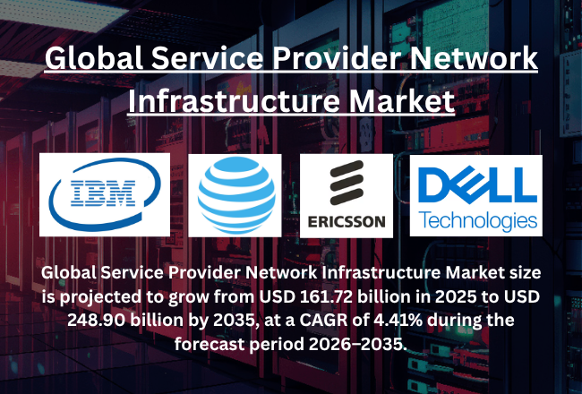 Service provider network infrastructure Market